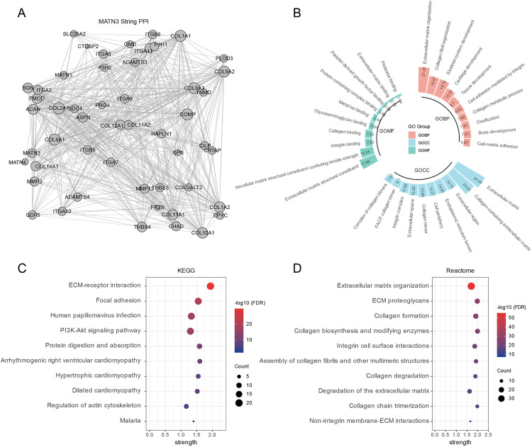 PMC12468984 – pone.0330653.g008