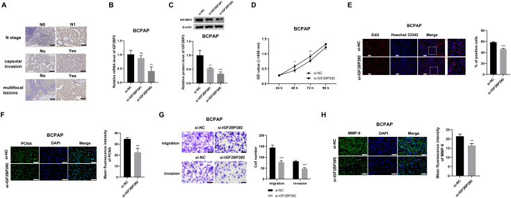 PMC12530564 – pone.0332061.g001