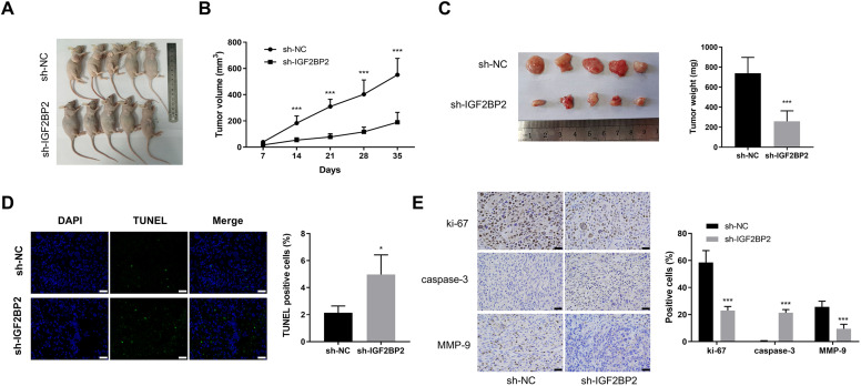 PMC12530564 – pone.0332061.g002