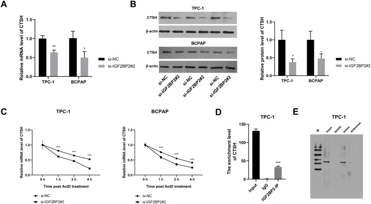 PMC12530564 – pone.0332061.g004