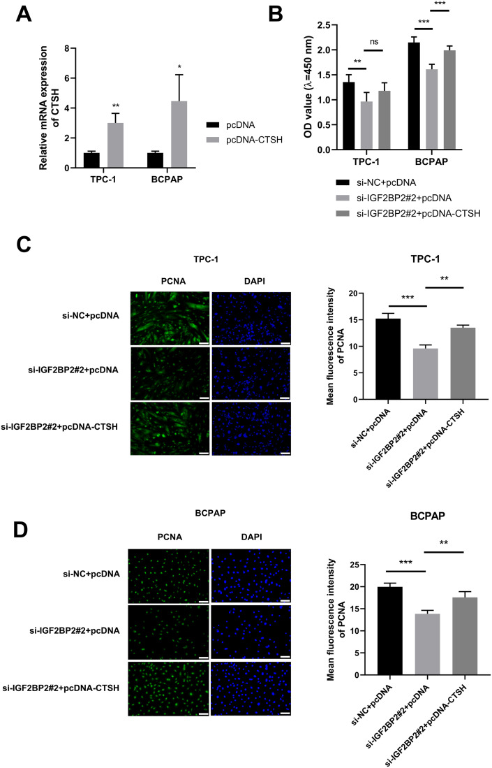 PMC12530564 – pone.0332061.g005