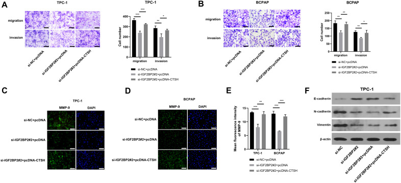 PMC12530564 – pone.0332061.g006