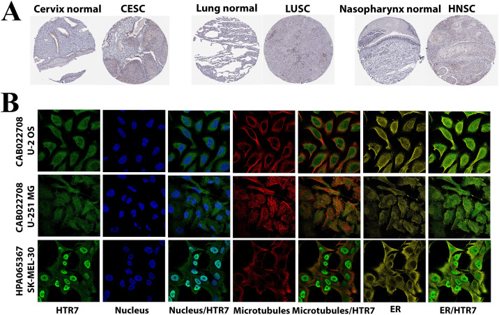 PMC12617886 – pone.0335398.g003