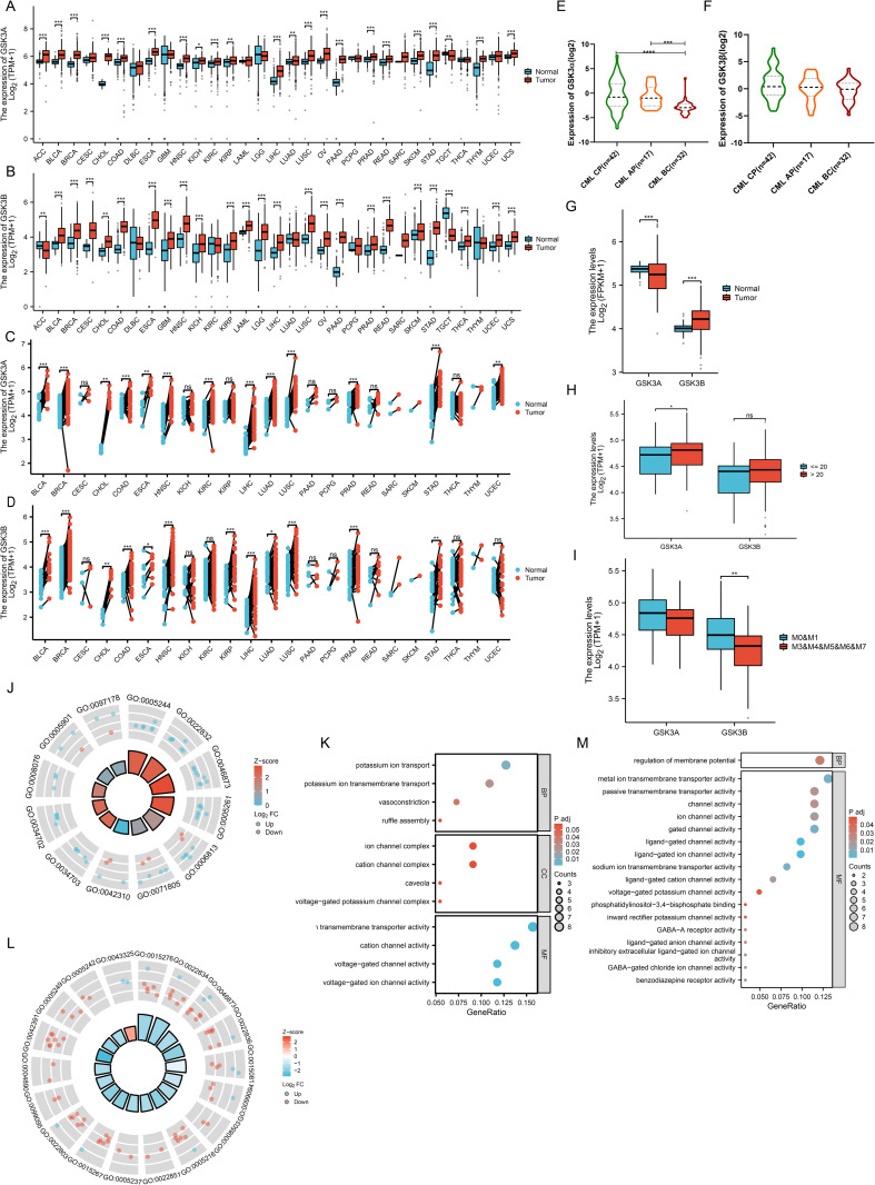PMC13037974 – pone.0344994.g001