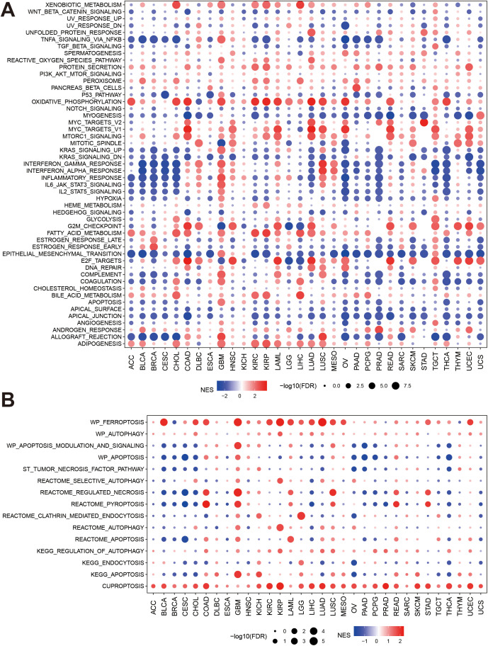 PMC12991247 – pone.0345095.g003