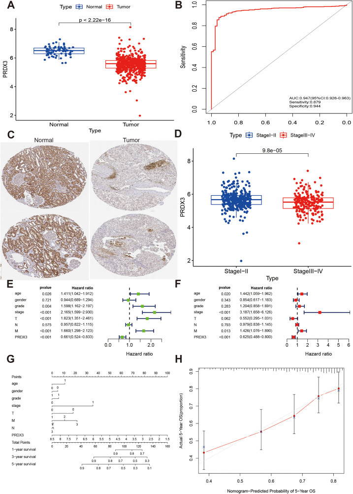 PMC12991247 – pone.0345095.g008