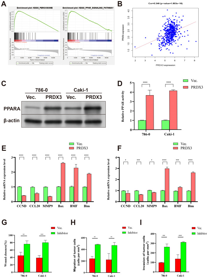 PMC12991247 – pone.0345095.g010