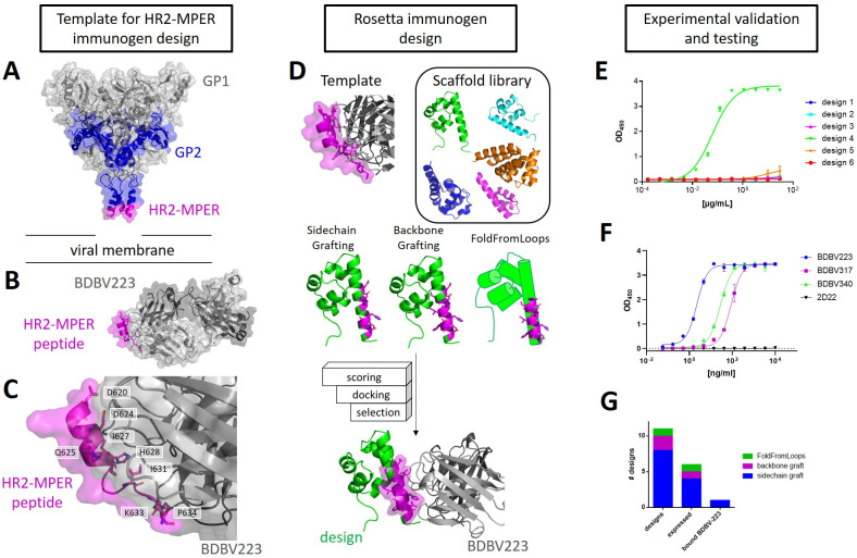 PMC9170092 – ppat.1010518.g001