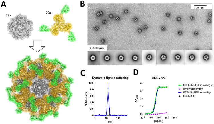PMC9170092 – ppat.1010518.g003