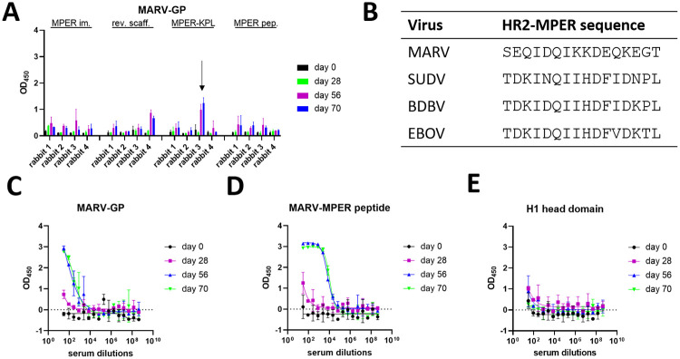 PMC9170092 – ppat.1010518.g005