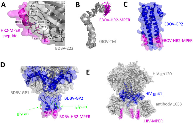 PMC9170092 – ppat.1010518.g008