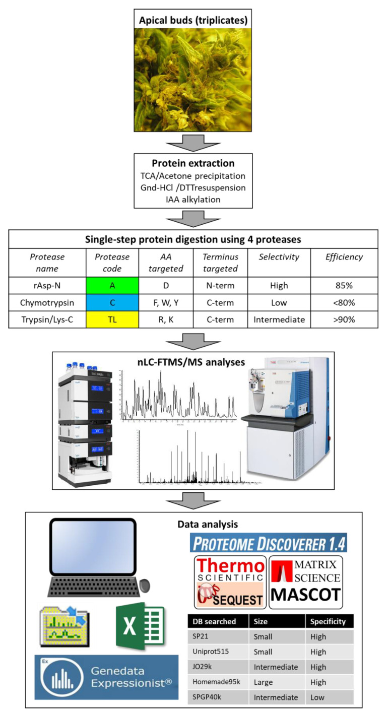 PMC7356525 – proteomes-08-00013-f001
