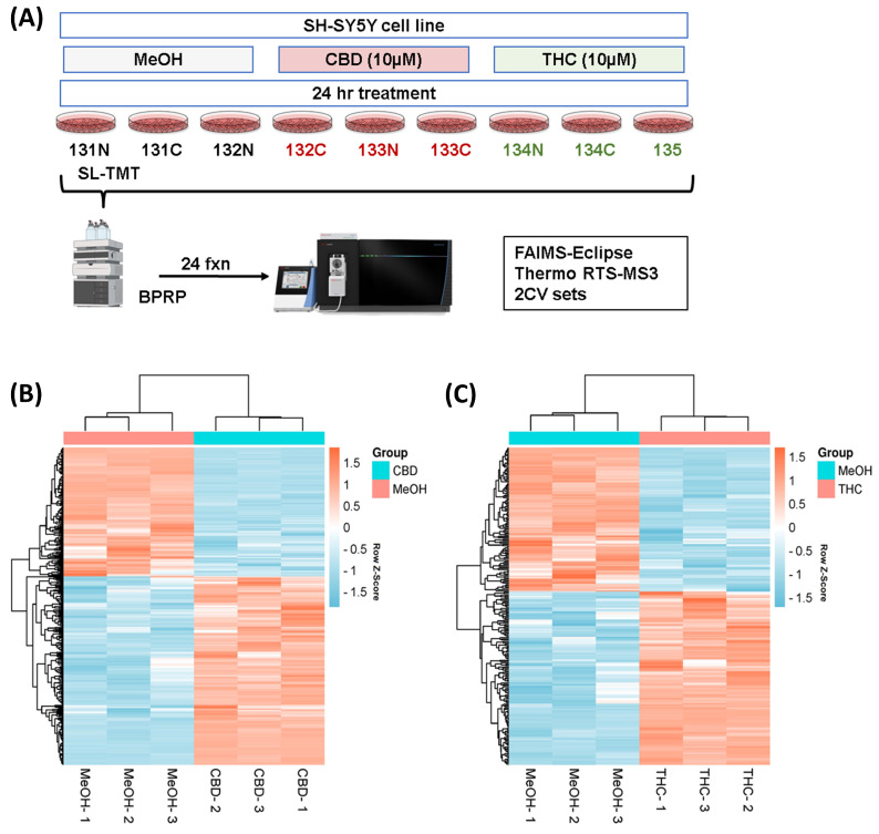 PMC10661330 – proteomes-11-00036-f001