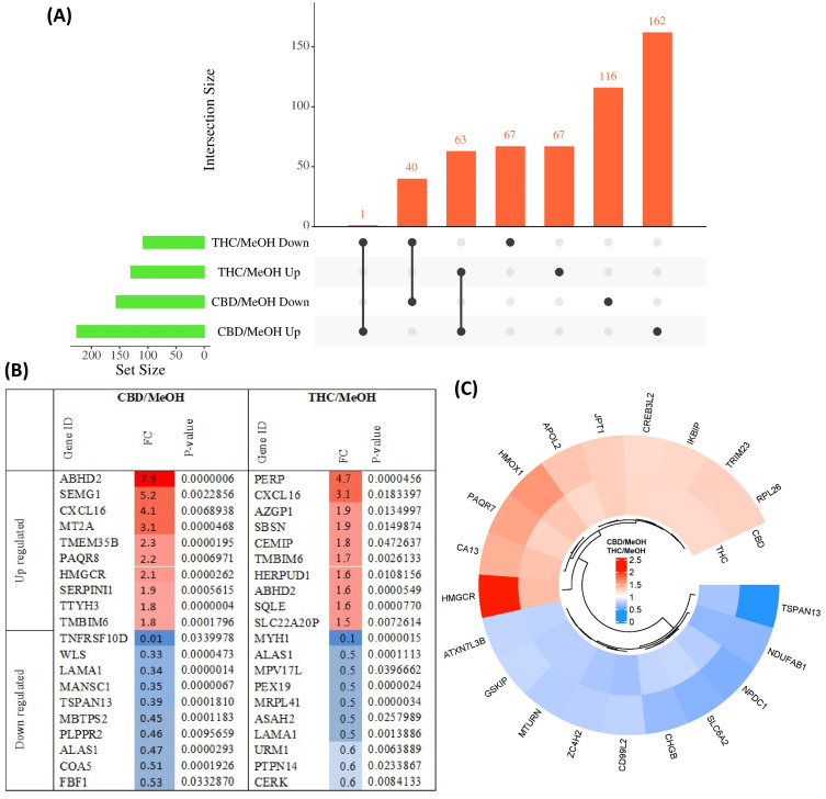 PMC10661330 – proteomes-11-00036-f002