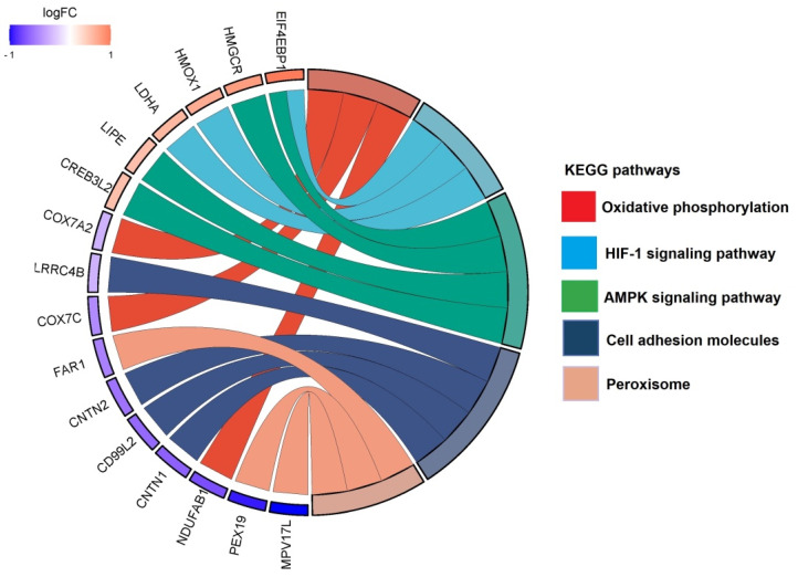 PMC10661330 – proteomes-11-00036-f004