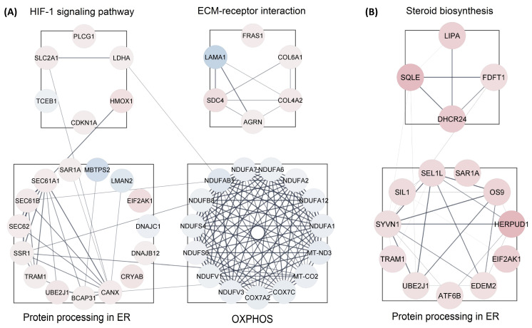 PMC10661330 – proteomes-11-00036-f005