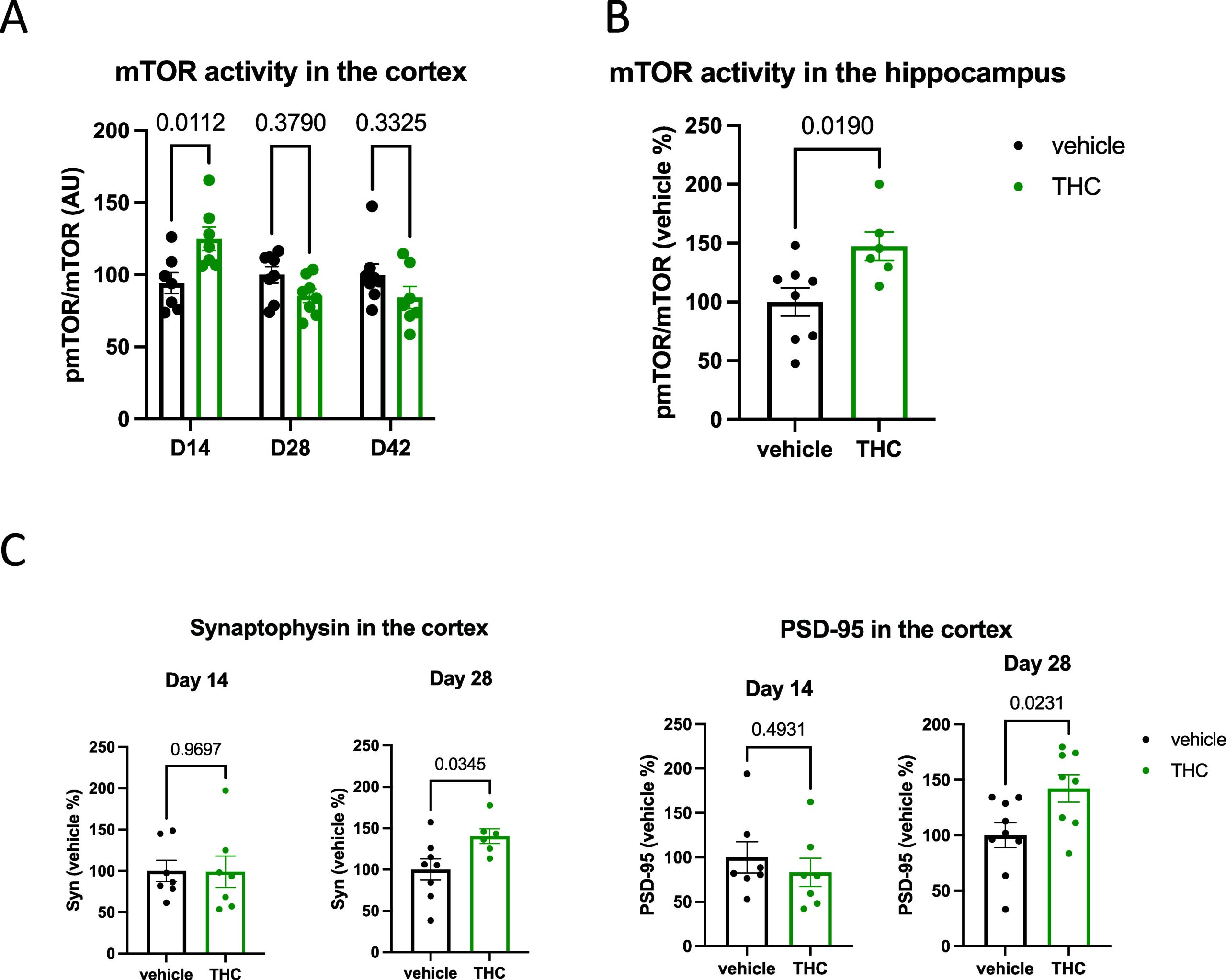 PMC11406684 – fig1