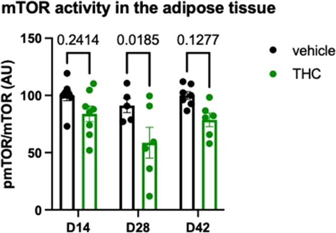 PMC11406684 – fig7