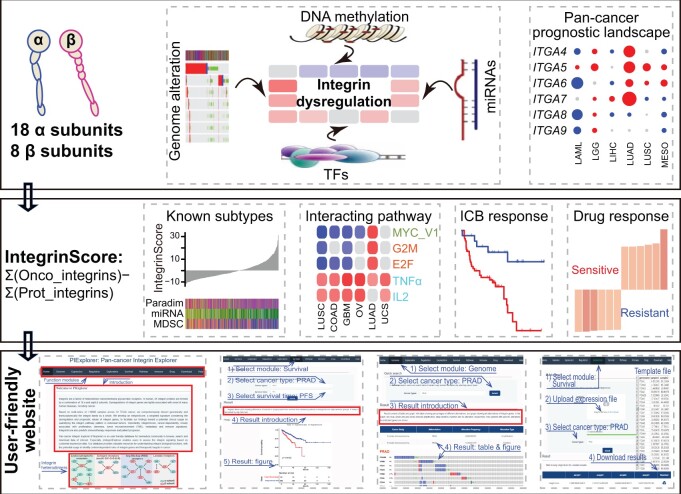PMC11849494 – qzae035-F10