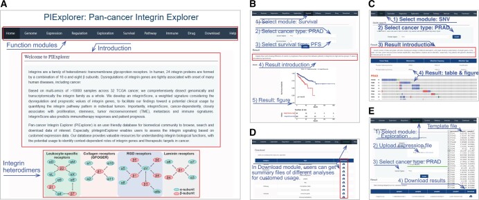 PMC11849494 – qzae035-F9