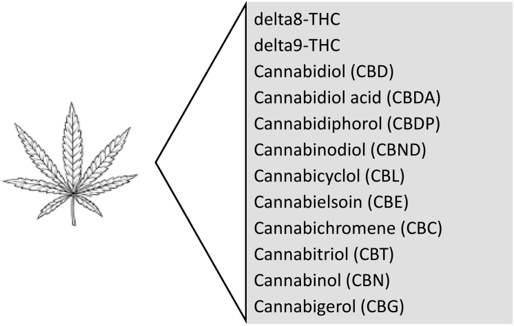 PMC10619990 – f1-rmmj-14-4-e0022