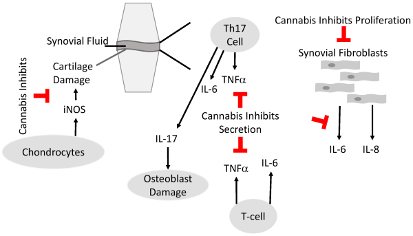 PMC10619990 – f2-rmmj-14-4-e0022