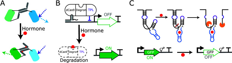 PMC11036505 – fig2
