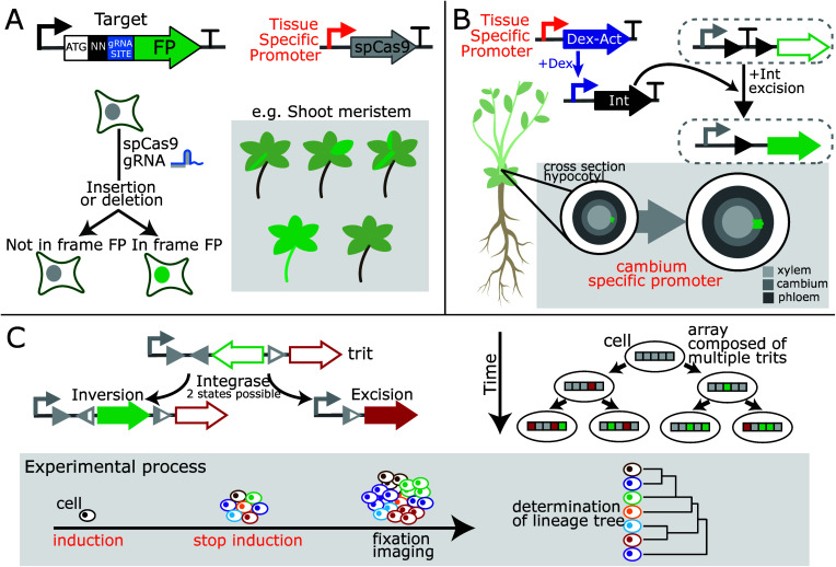PMC11036505 – fig3
