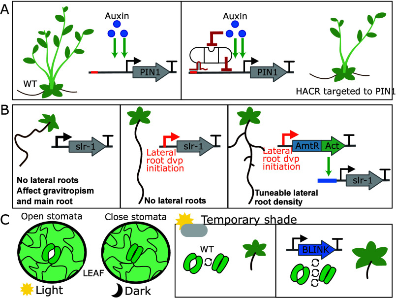 PMC11036505 – fig4