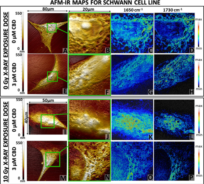PMC11443521 – fig4