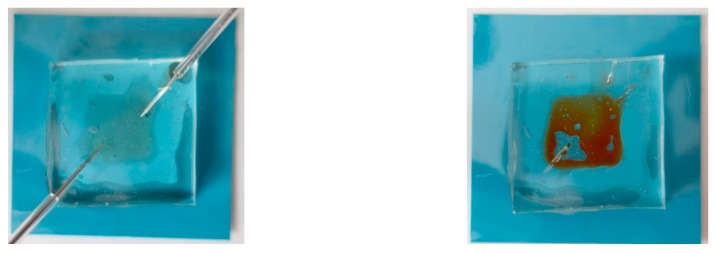 PMC7147599 – sensors-20-01745-f007