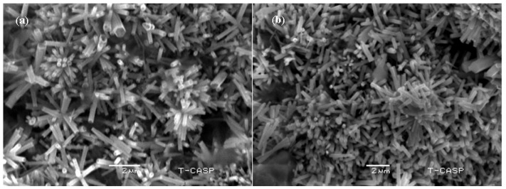 PMC7412544 – sensors-20-03931-f013