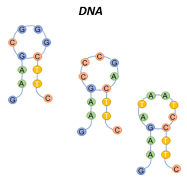 PMC7472373 – sensors-20-04433-f004