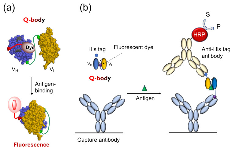 PMC7916128 – sensors-21-01223-f001