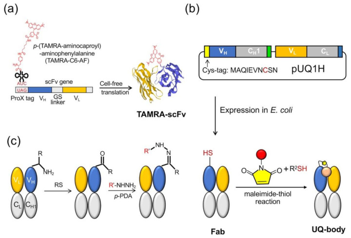 PMC7916128 – sensors-21-01223-f002