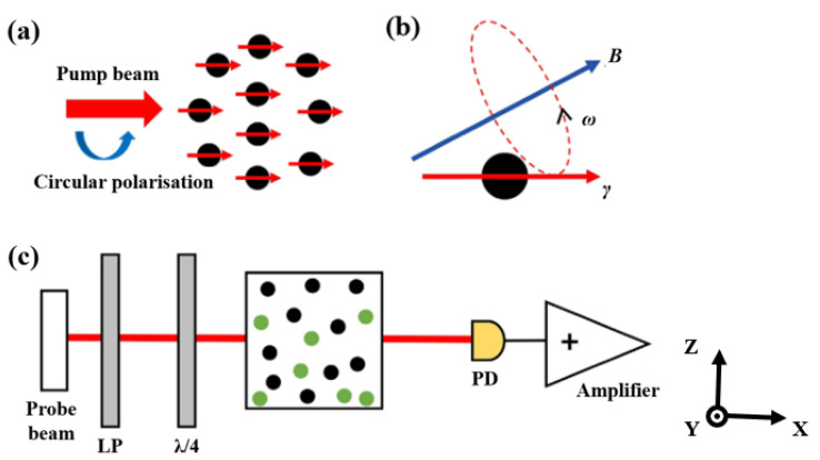 PMC12196957 – sensors-25-03690-f001
