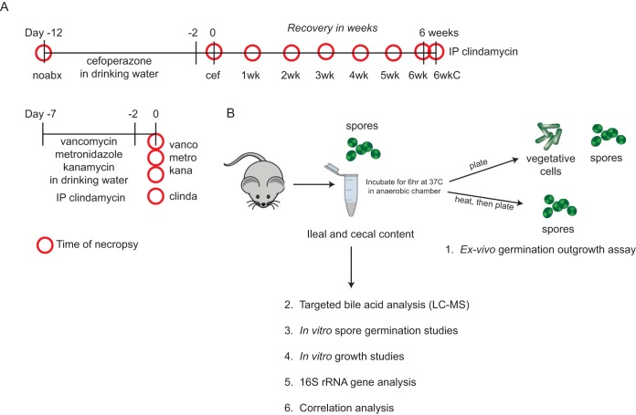 PMC4863611 – fig1