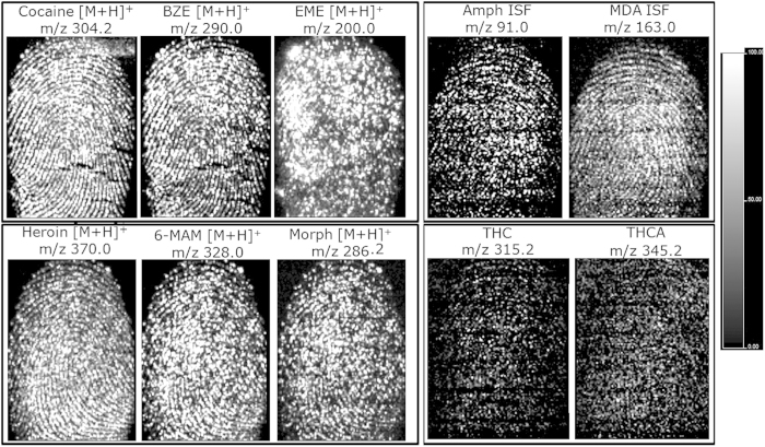PMC4484357 – f2