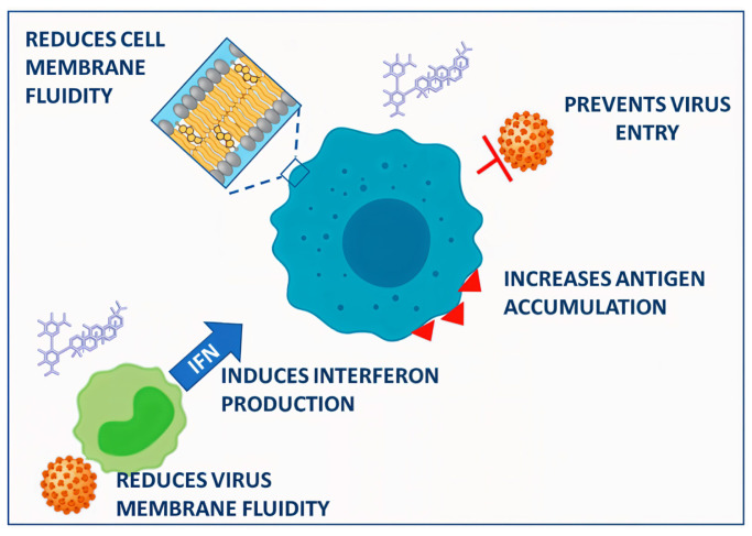 PMC11407354 – f2-tjb-48-04-218