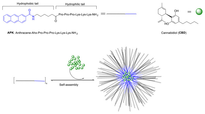 PMC11265886 – f1-tjc-48-02-229