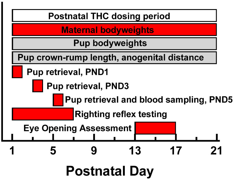 PMC11126083 – toxics-12-00311-f001
