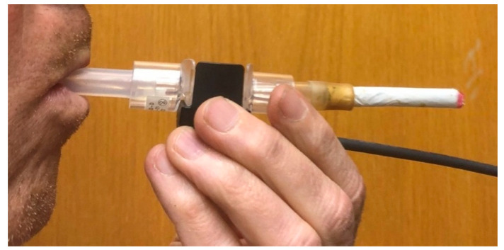 PMC11125762 – toxics-12-00313-f001