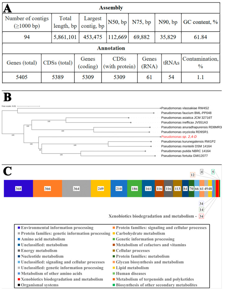 PMC11728705 – toxics-12-00930-f001
