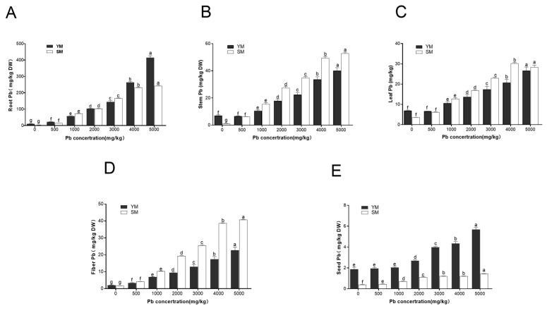 PMC11861760 – toxics-13-00090-f002