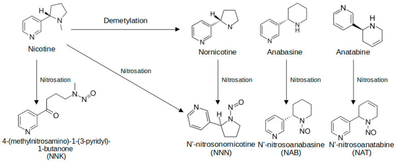 PMC12031152 – toxics-13-00268-f003