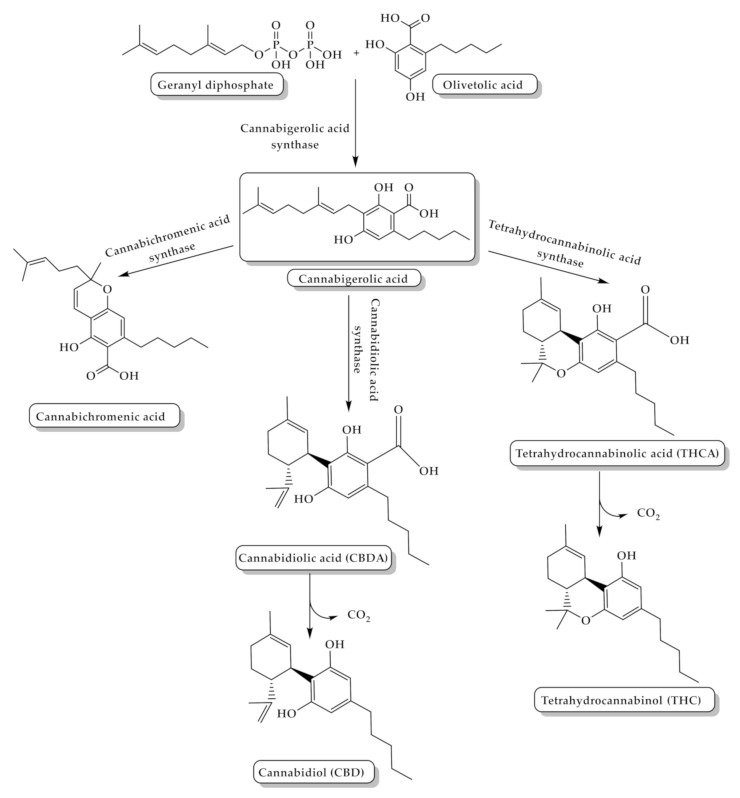 PMC7915118 – toxins-13-00117-f002