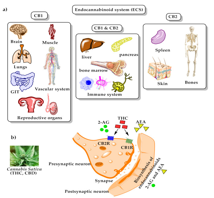PMC7915118 – toxins-13-00117-f003