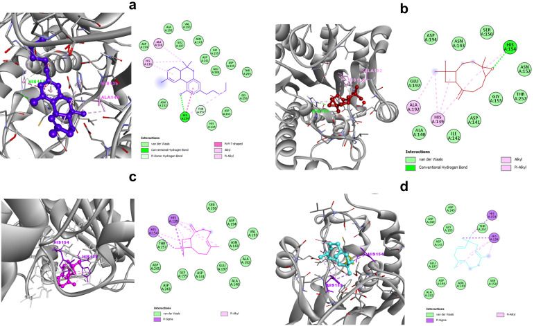 PMC9783378 – tropicalmed-07-00400-f001