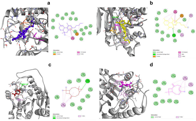 PMC9783378 – tropicalmed-07-00400-f002