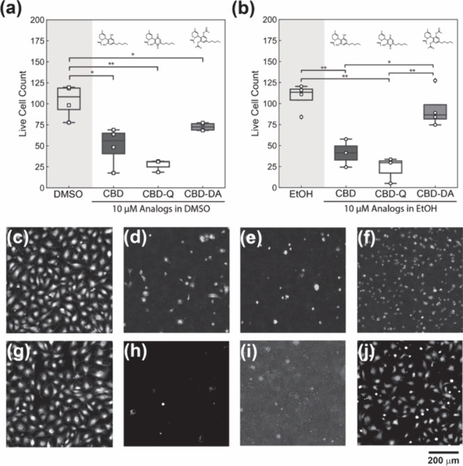 PMC11837211 – fig3